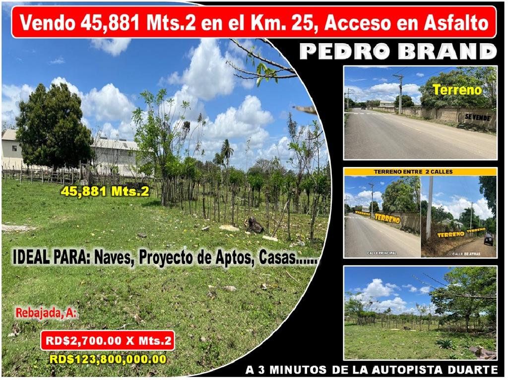 Vendo Terreno para NAVES APTOS en PEDRO BRAND 45881 Mts.2 REBAJADA a 3 Foto 7318688-1.jpg