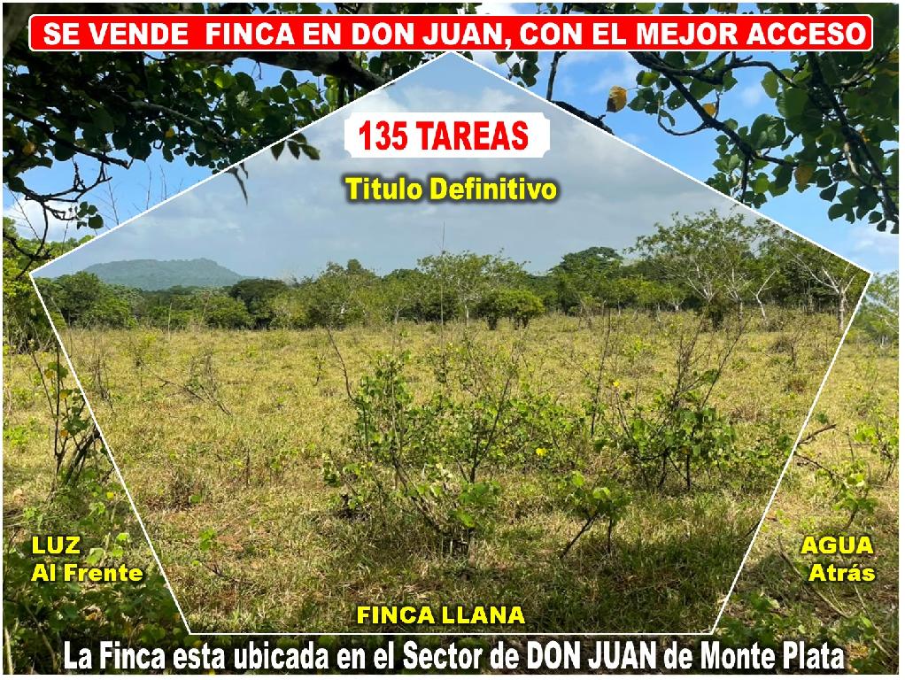 Vendo Finca GANADERA – AGRICOLA de 135 tareas en DON JUAN MONTE PLATA Foto 7318742-1.jpg