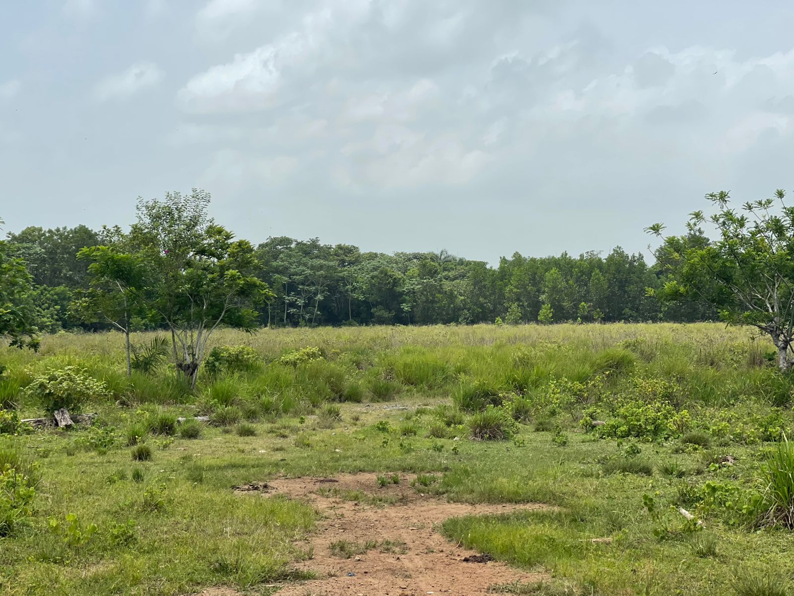 Vendo Finca de 1595 tareas CERCA DE LA CIUDAD Santo Domingo Norte a la Foto 7318881-11.jpg