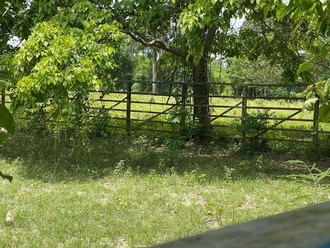 Vendo Finca de 1595 tareas CERCA DE LA CIUDAD Santo Domingo Norte a la Foto 7318881-2.jpg