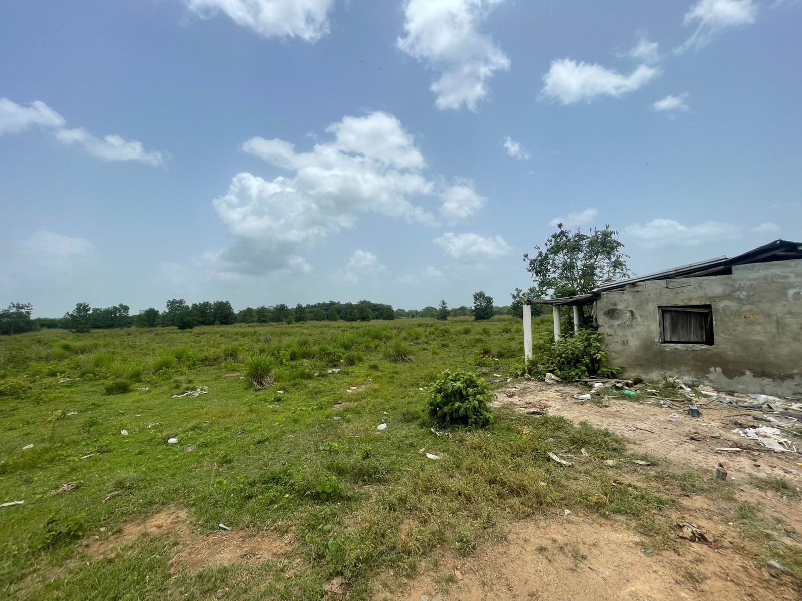 Vendo Finca de 1595 tareas CERCA DE LA CIUDAD Santo Domingo Norte a la Foto 7318881-3.jpg