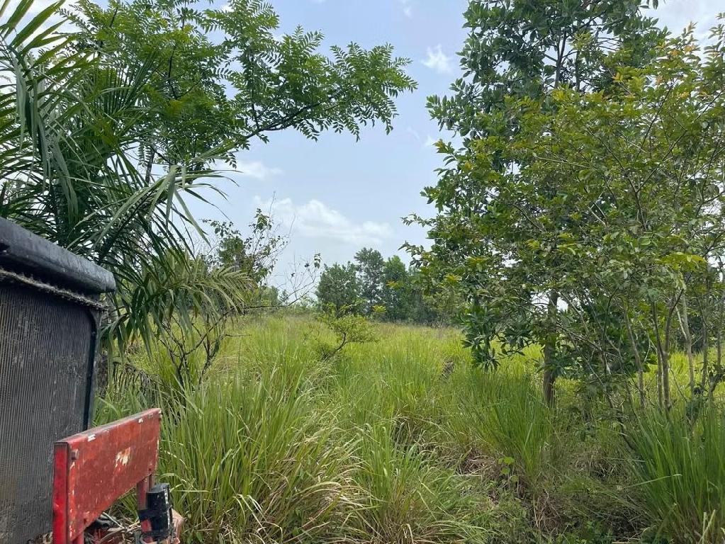 Vendo Finca de 1595 tareas CERCA DE LA CIUDAD Santo Domingo Norte a la Foto 7318881-4.jpg