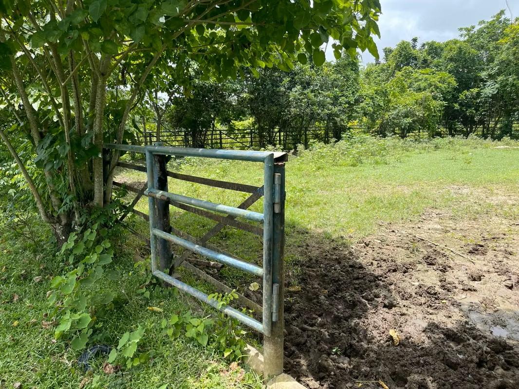 Vendo Finca de 1595 tareas CERCA DE LA CIUDAD Santo Domingo Norte a la Foto 7318881-5.jpg