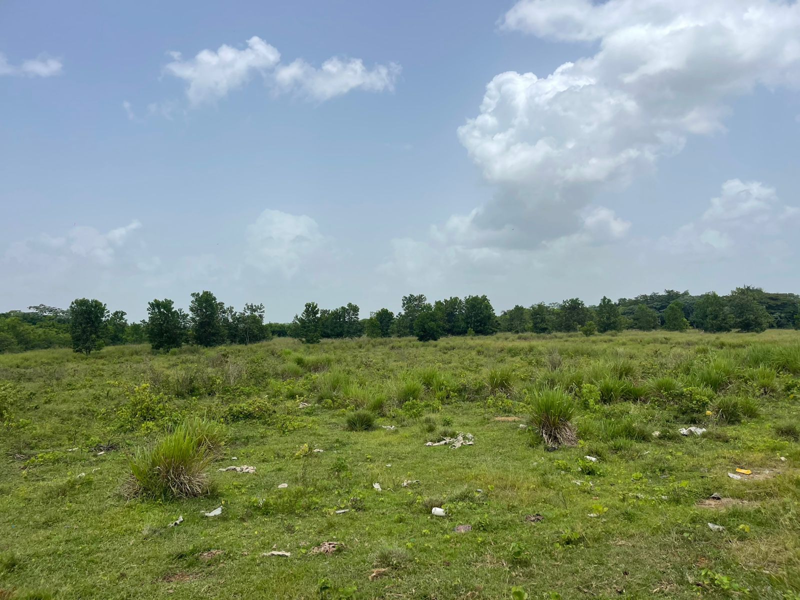 Vendo Finca de 1595 tareas CERCA DE LA CIUDAD Santo Domingo Norte a la Foto 7318881-9.jpg