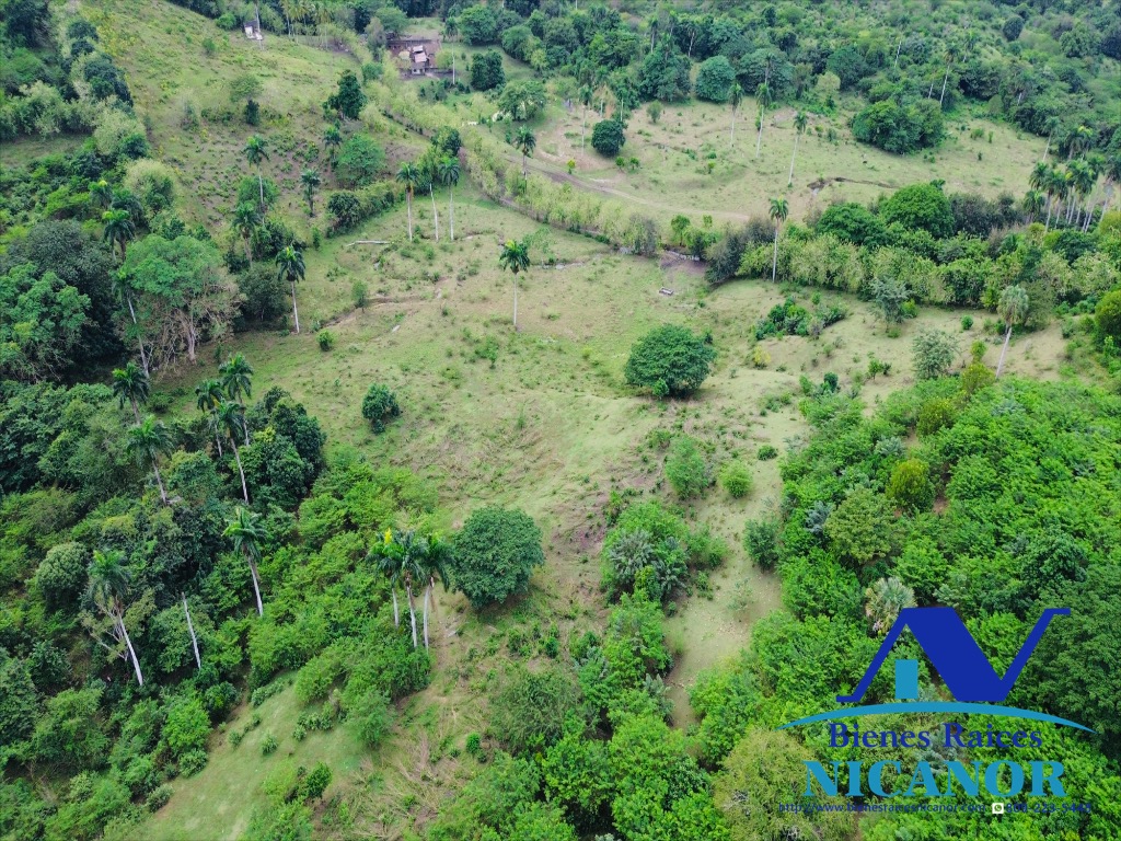 Finca ganadera en venta de 2300 tareas en adelante  Foto 7318896-12.jpg