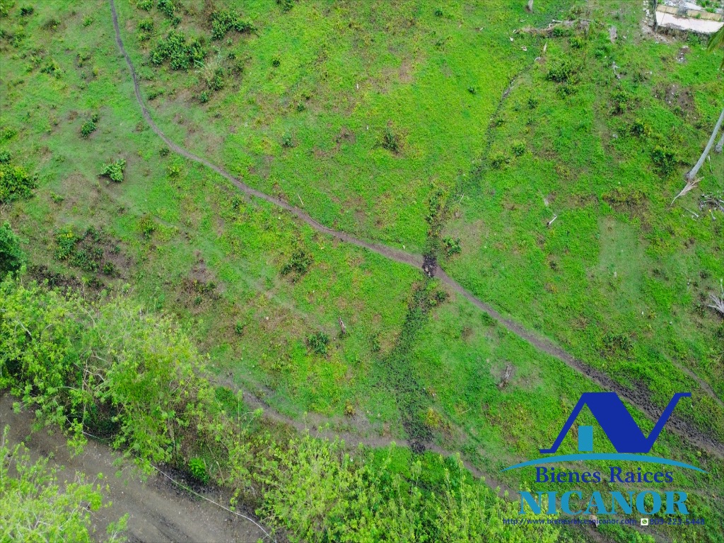 Finca ganadera en venta de 2300 tareas en adelante  Foto 7318896-13.jpg