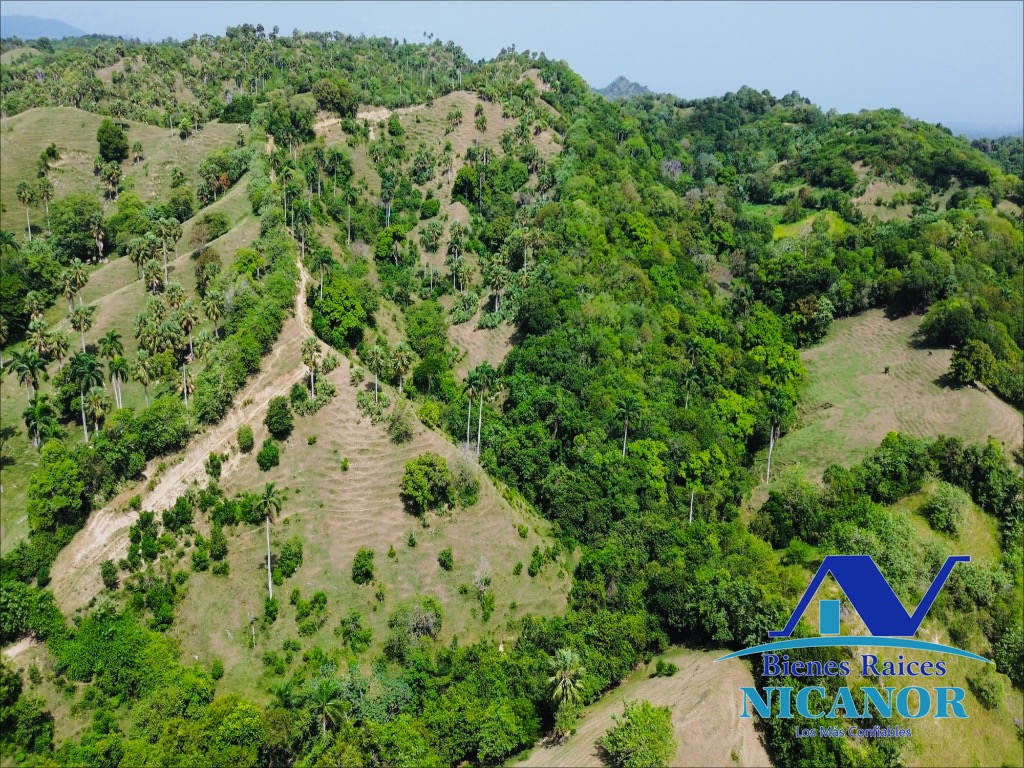Finca ganadera de 825 tareas en venta Foto 7318897-12.jpg