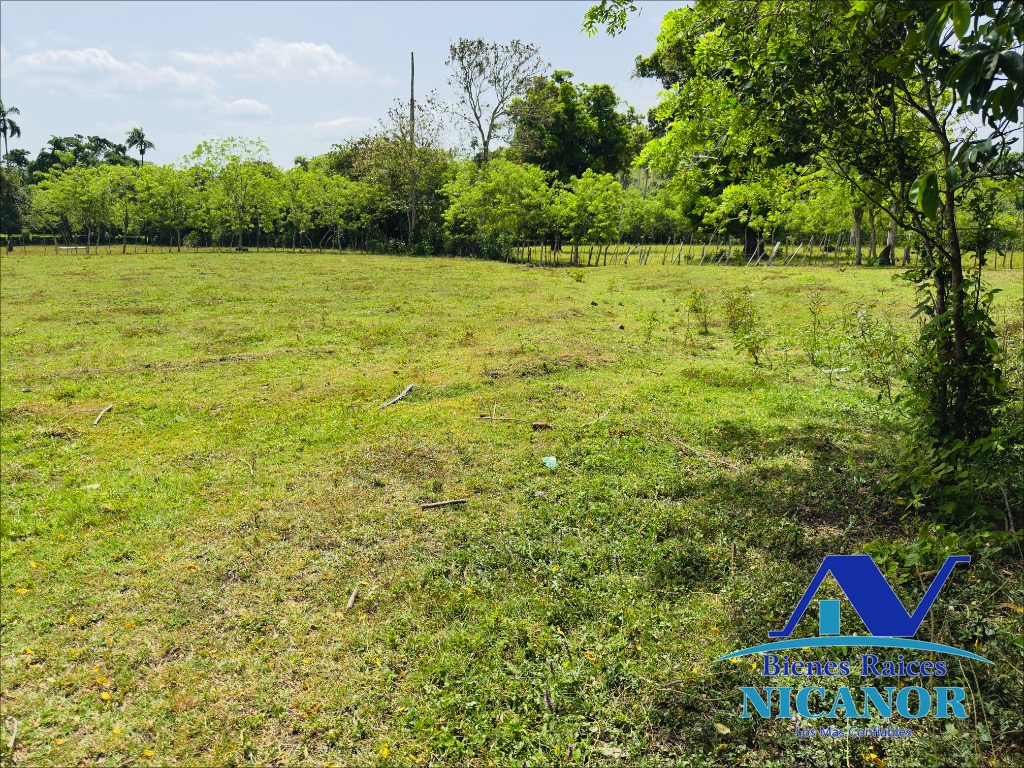 Finca ganadera de 825 tareas en venta Foto 7318897-2.jpg