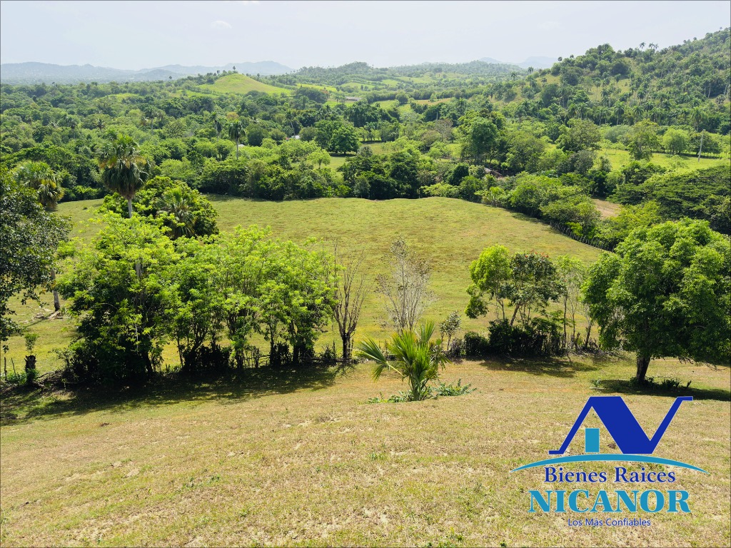 Finca ganadera de 825 tareas en venta Foto 7318897-7.jpg