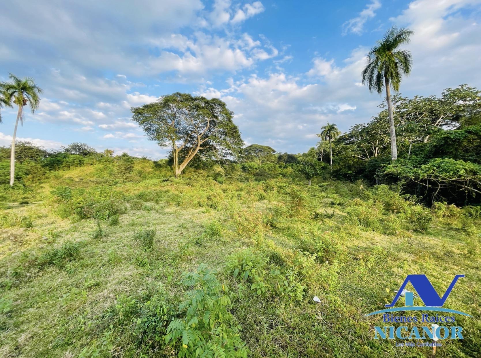 Finca ganadera de 1150 tareas en venta en Guananico Foto 7318907-9.jpg