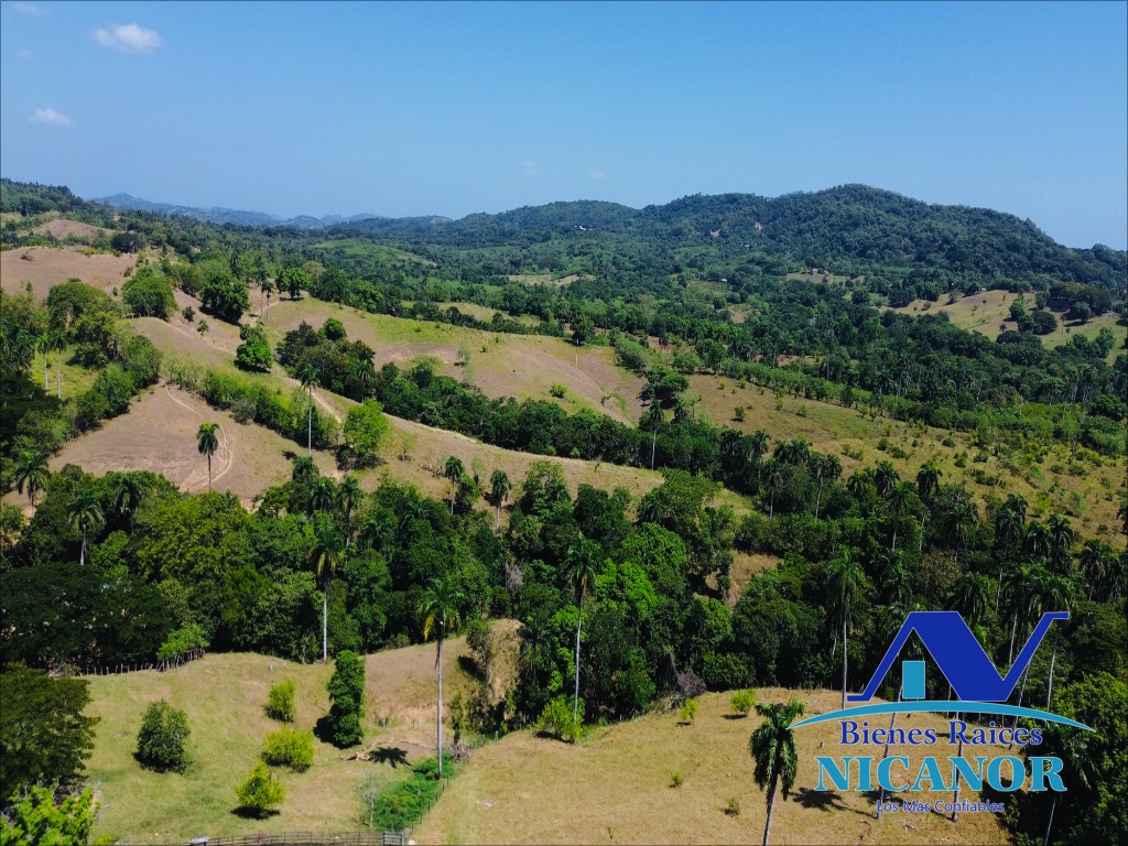 Finca de 846 tareas en venta en Guananico puerto plata Foto 7318915-4.jpg