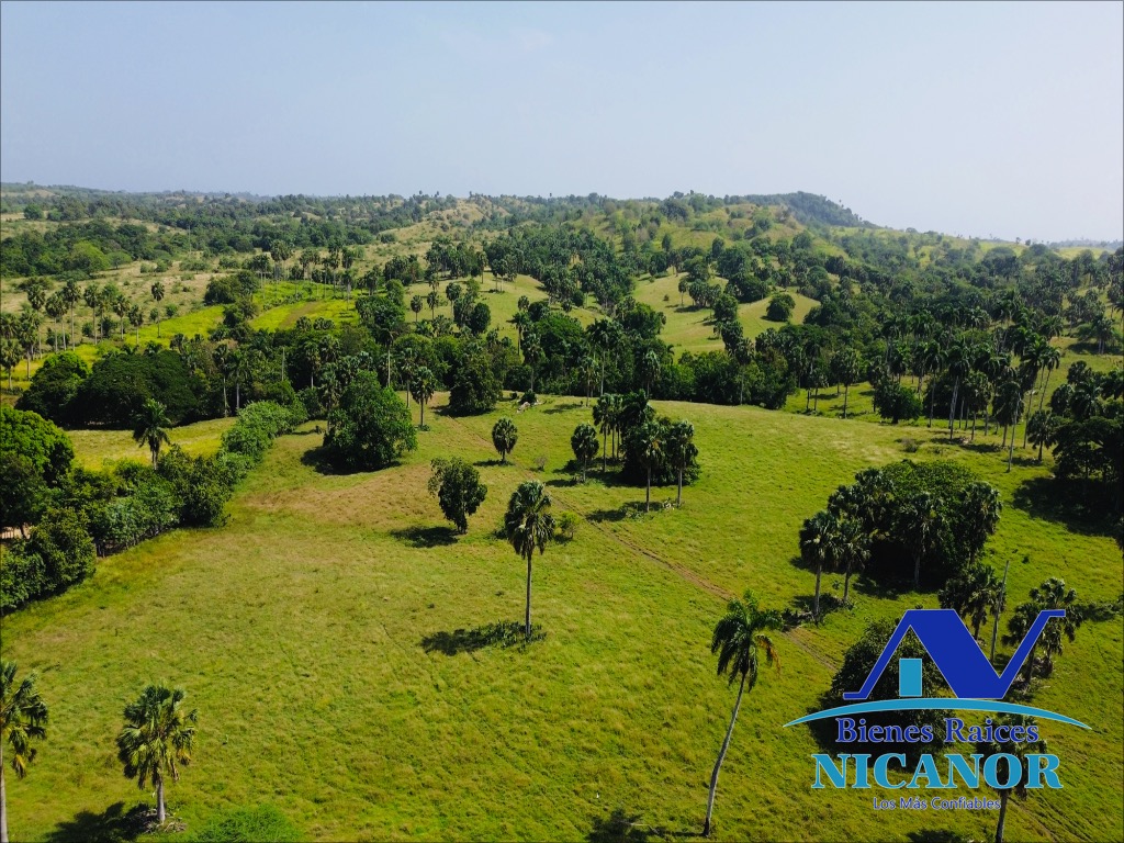 Finca de 1010 tareas en venta  Foto 7318923-8.jpg
