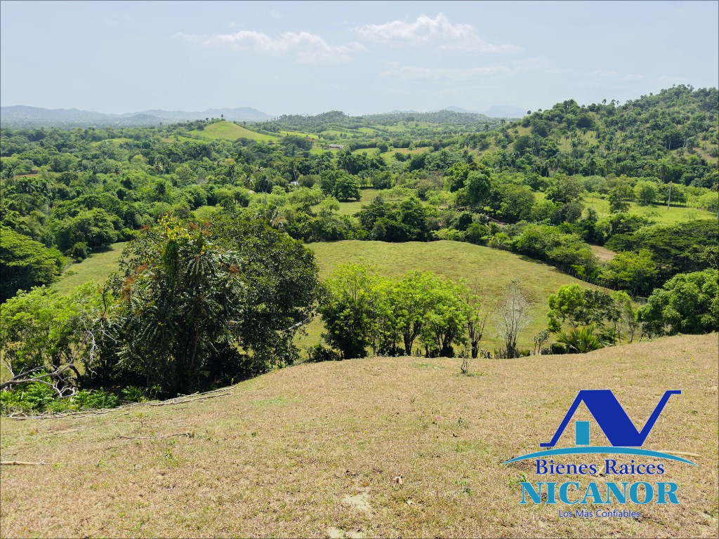Finca de 825 tareas en venta Foto 7319081-9.jpg