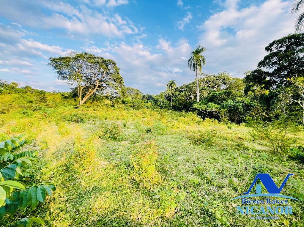 Finca de 1150 tareas ganadera en venta en Guananico  Foto 7319082-1.jpg