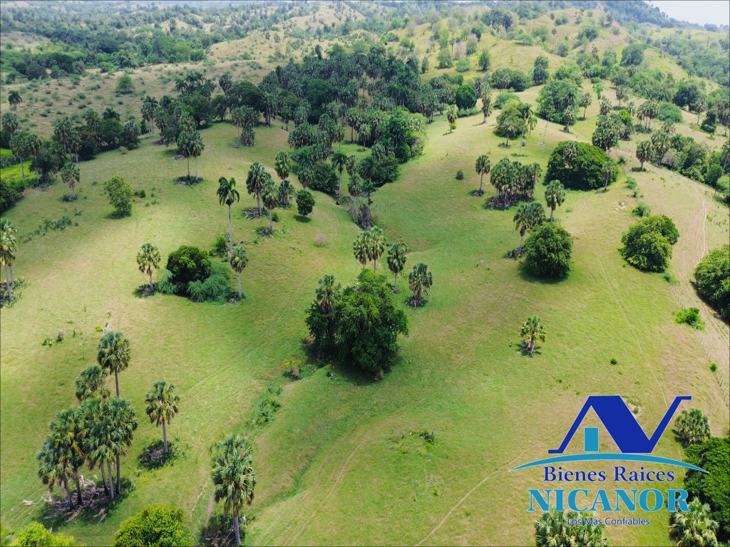 Finca de 1010 tareas en ventas  Foto 7319092-12.jpg