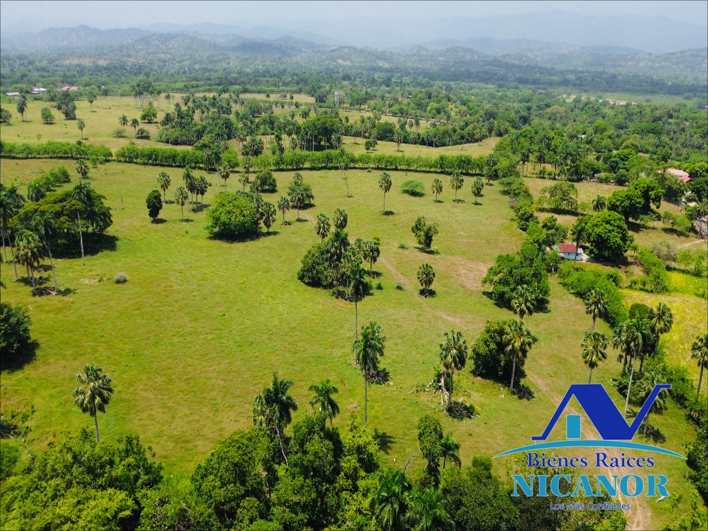 Finca de 1010 tareas en ventas  Foto 7319092-14.jpg