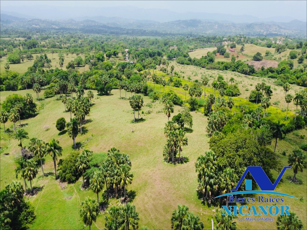 Finca de 1010 tareas en ventas  Foto 7319092-15.jpg