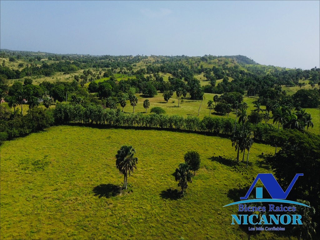 Finca de 1010 tareas en ventas  Foto 7319092-4.jpg