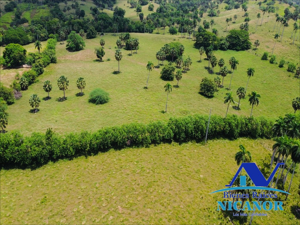 Finca de 1010 tareas en ventas  Foto 7319092-6.jpg