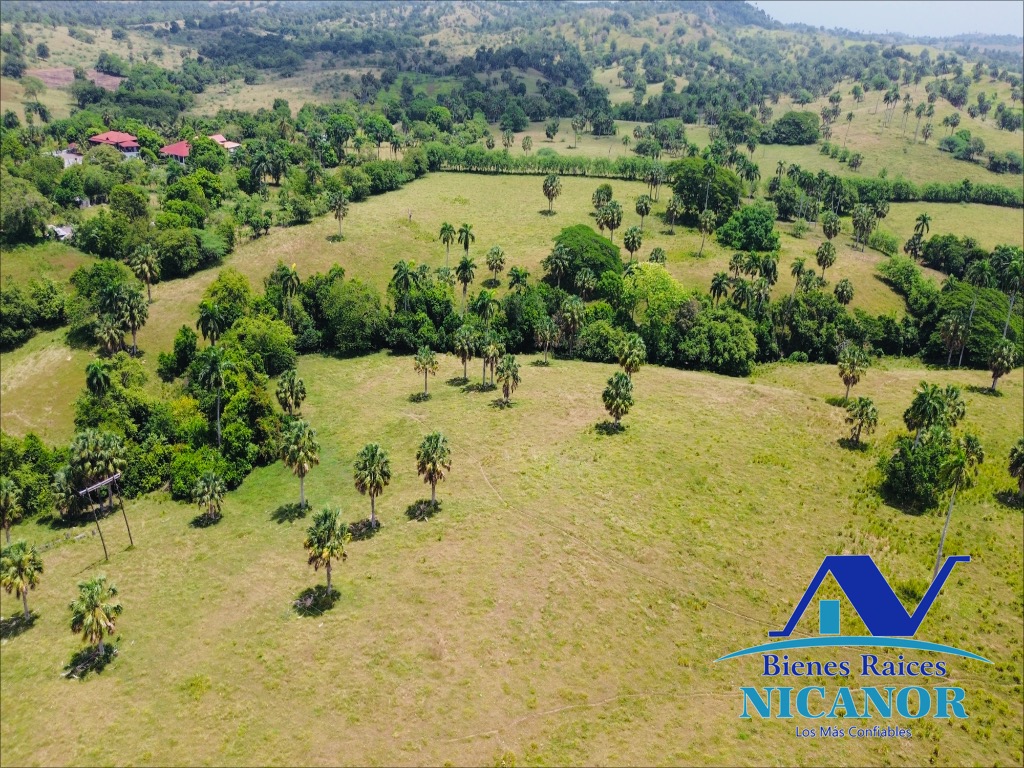 Finca de 1010 tareas en ventas  Foto 7319092-7.jpg