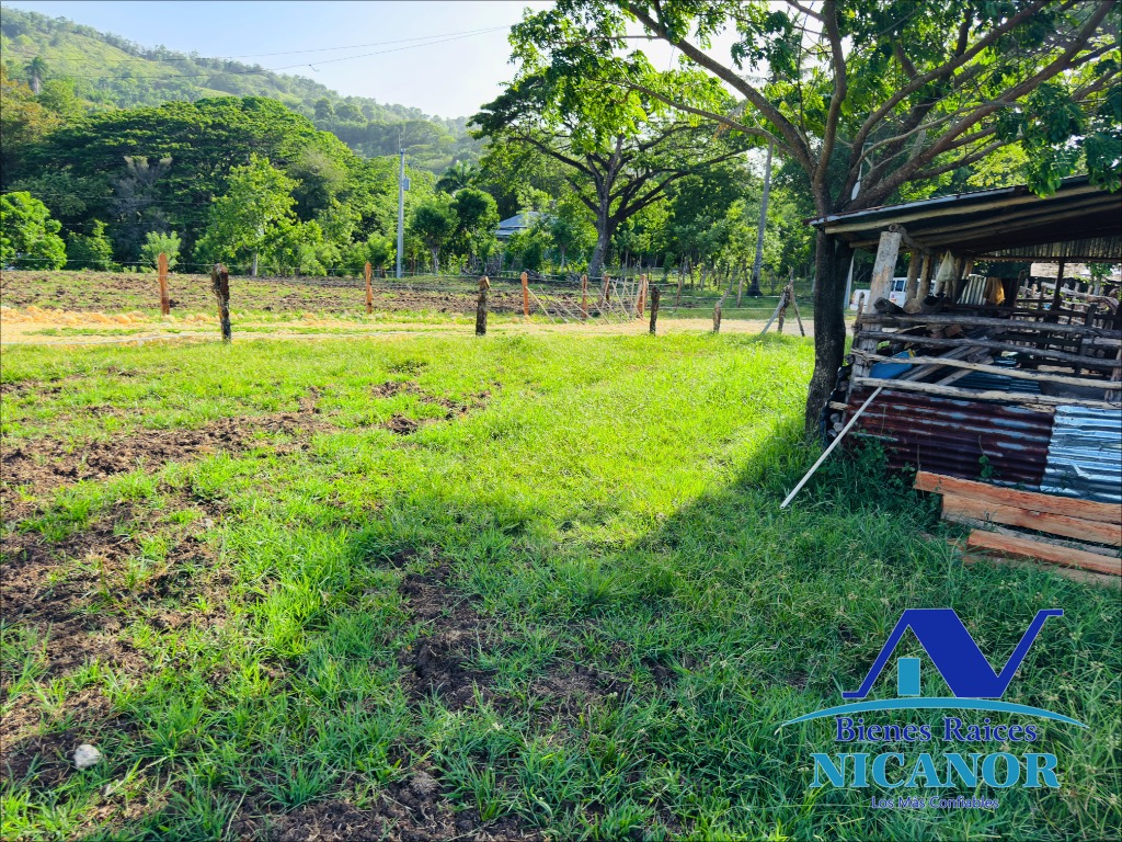 Finca de 278 tareas en venta Foto 7319098-11.jpg