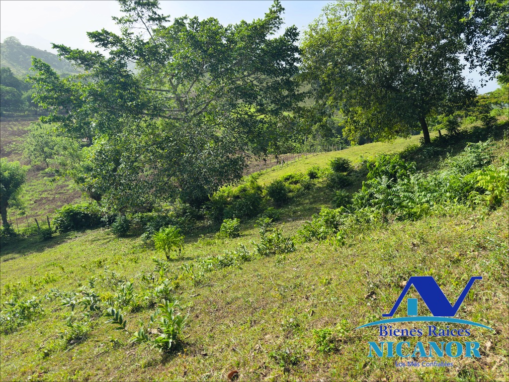 Finca de 278 tareas en venta Foto 7319098-6.jpg