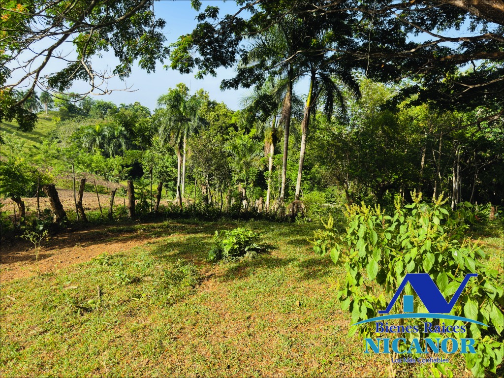 Finca de 278 tareas en venta Foto 7319098-8.jpg