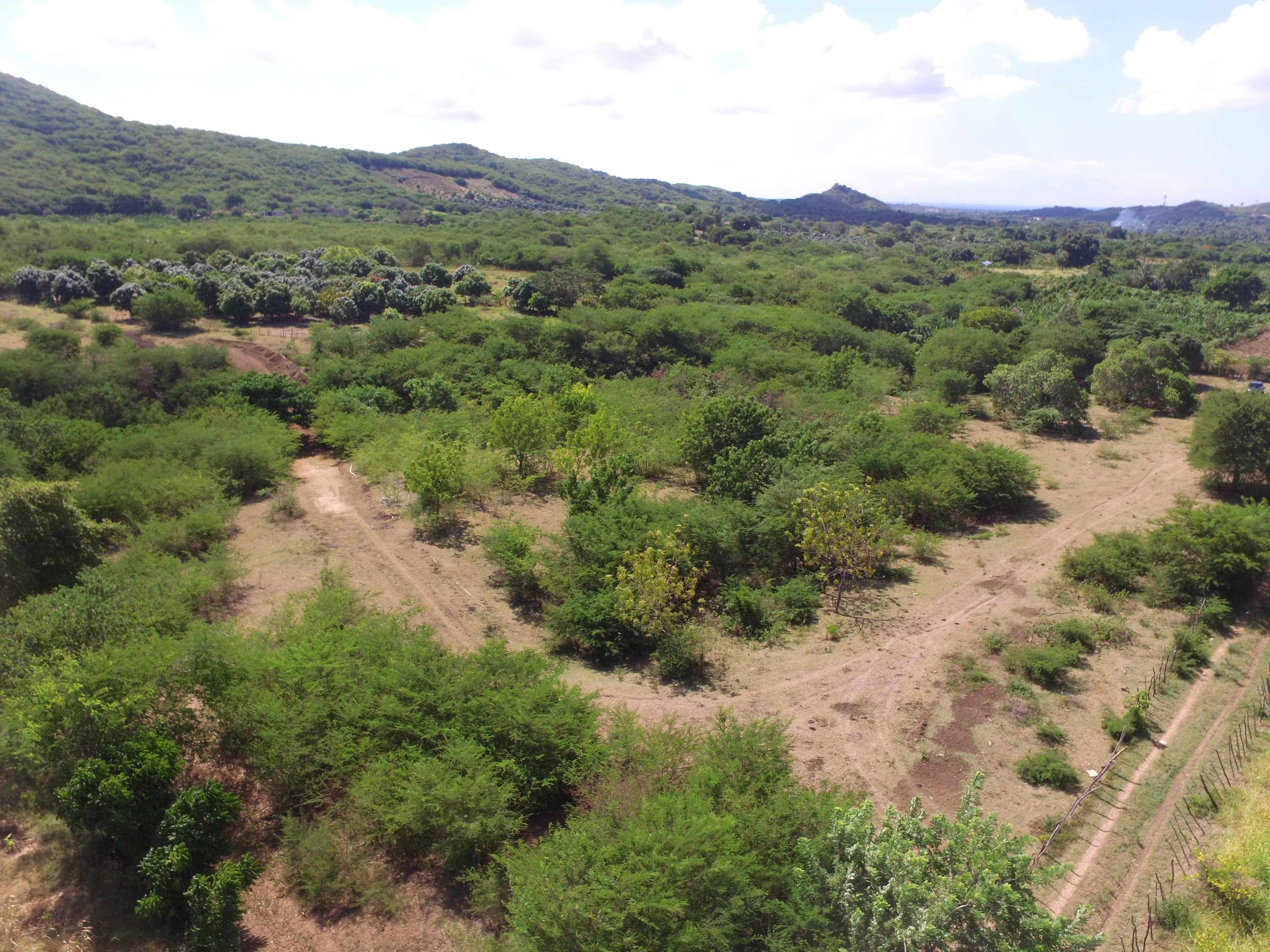 Finca en Bani 189.5 Tareas Titulo Definitivo Foto 7319412-6.jpg