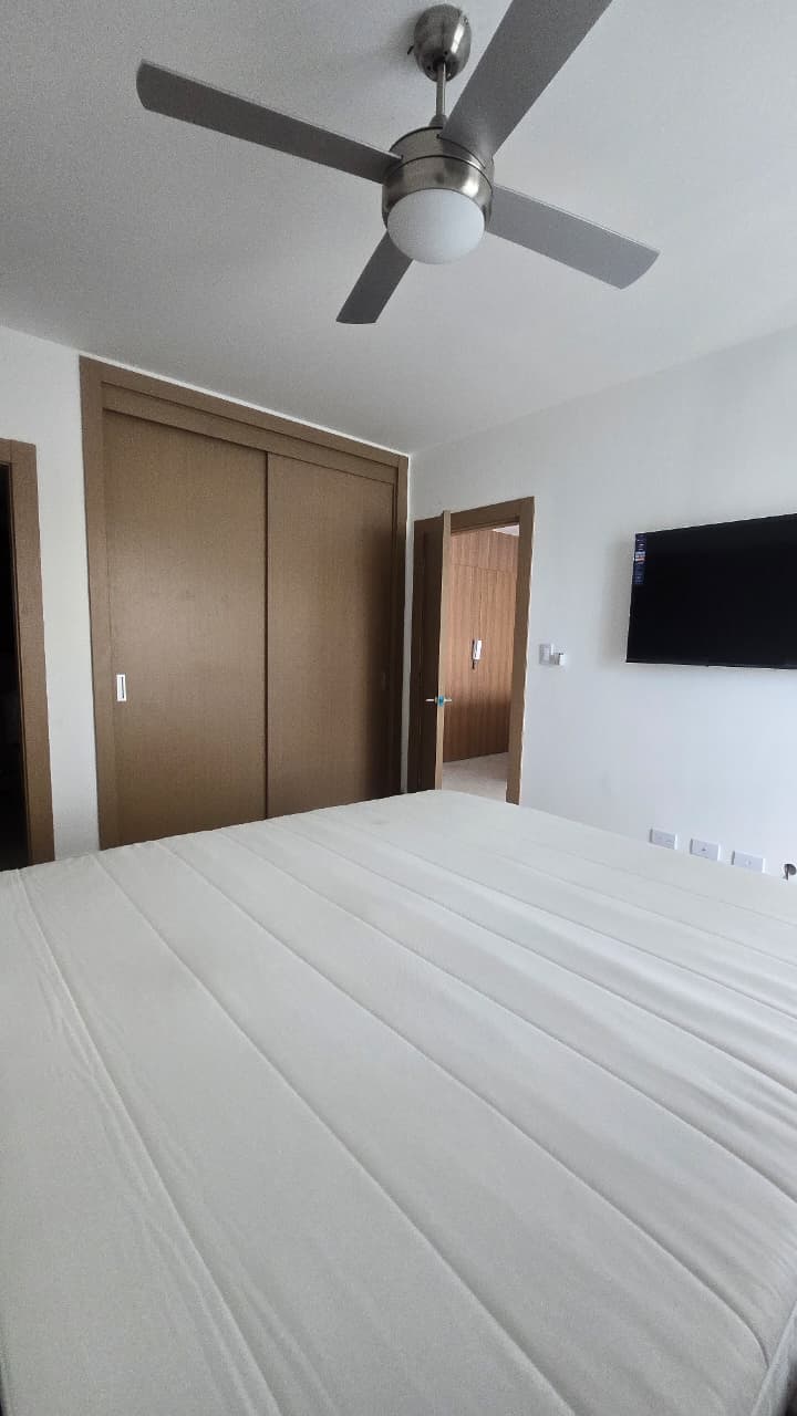 Apartamento en Venta o Renta en Gazcue Santo Domingo Foto 7319580-11.jpg