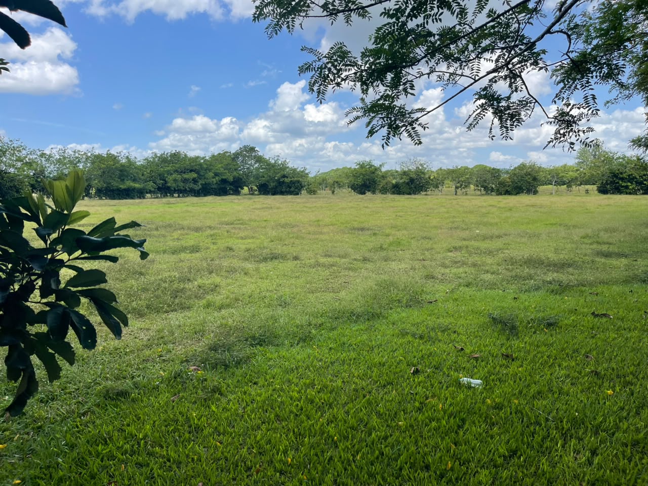 Vendo BELLA  Finca GANADERA CON SUS PASTOS 245 tareas en DON JUAN MONT Foto 7319615-12.jpg