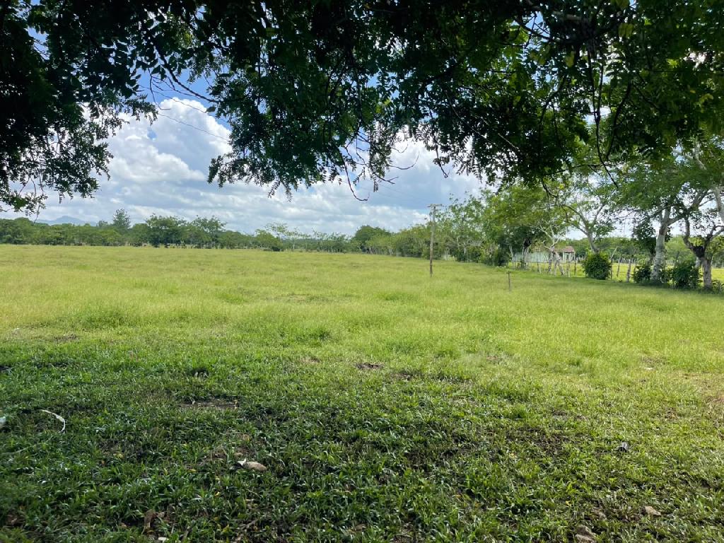 Vendo BELLA  Finca GANADERA CON SUS PASTOS 245 tareas en DON JUAN MONT Foto 7319615-4.jpg