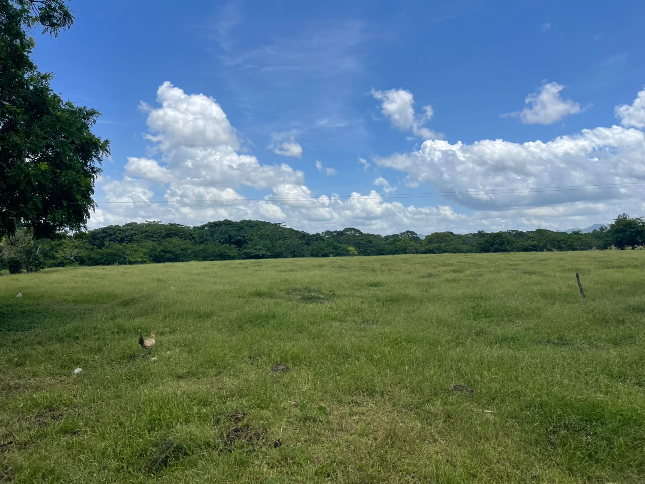 Vendo BELLA  Finca GANADERA CON SUS PASTOS 245 tareas en DON JUAN MONT Foto 7319615-6.jpg
