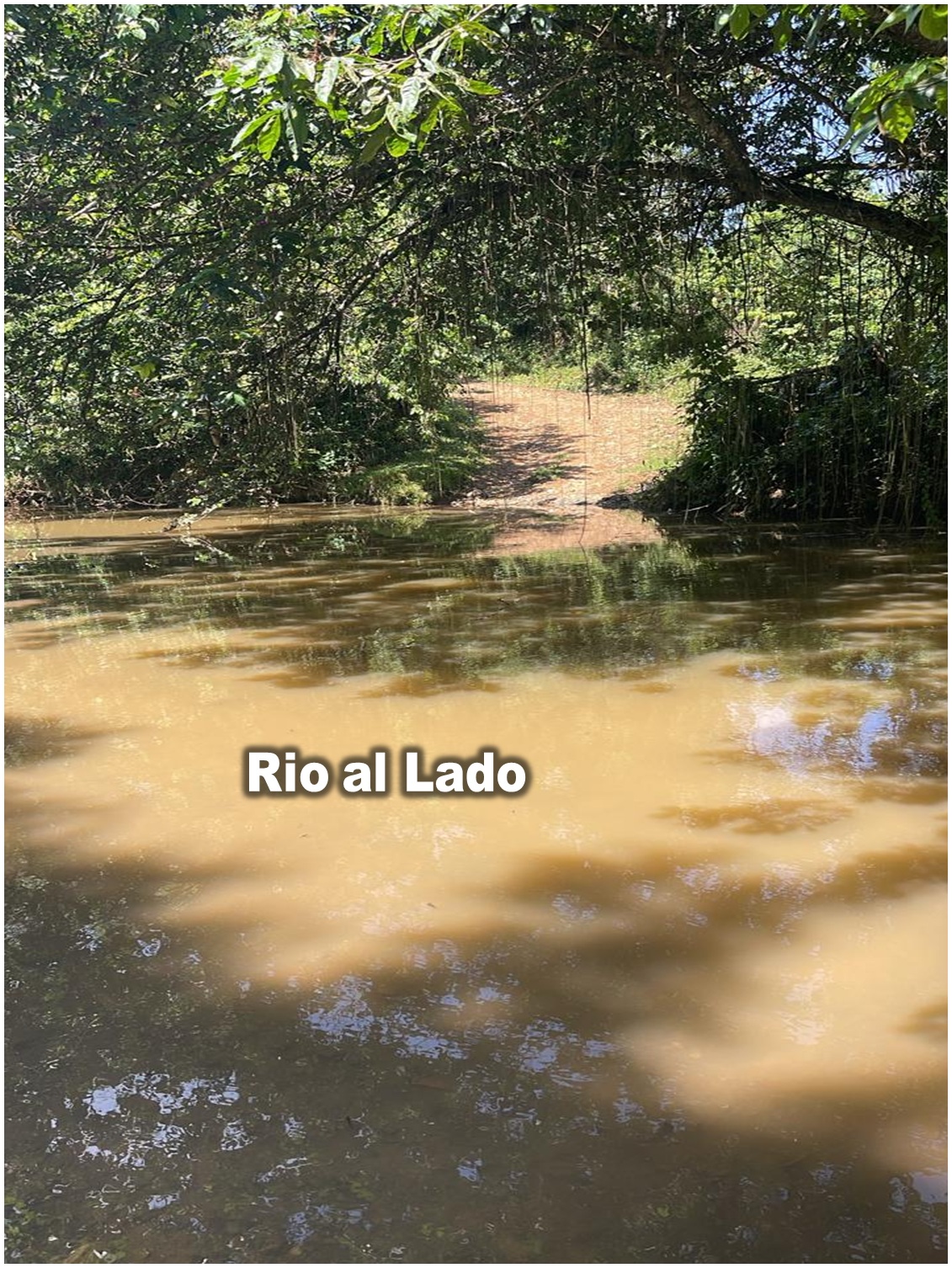 Vendo VILLA CON SU PISCINA  SIEMBRAS EN MONTE PLATA CON 74 TAREAS Foto 7319616-11.jpg