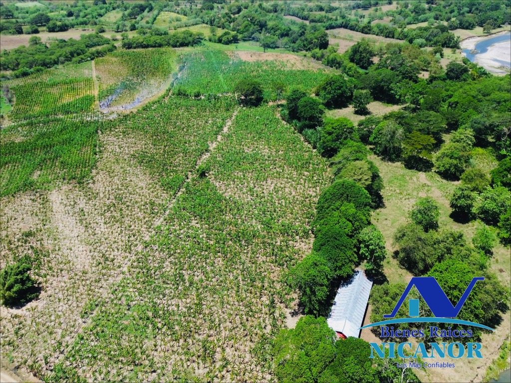 Finca Sembrada de platano en venta Foto 7319618-12.jpg
