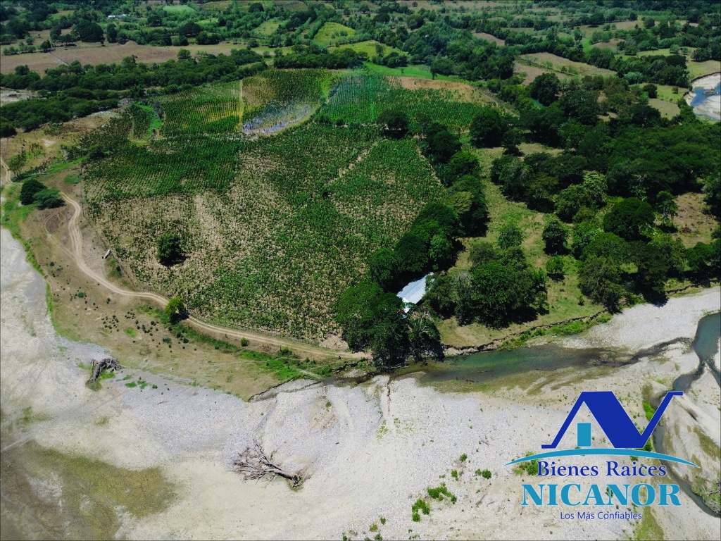 Finca Sembrada de platano en venta Foto 7319618-15.jpg