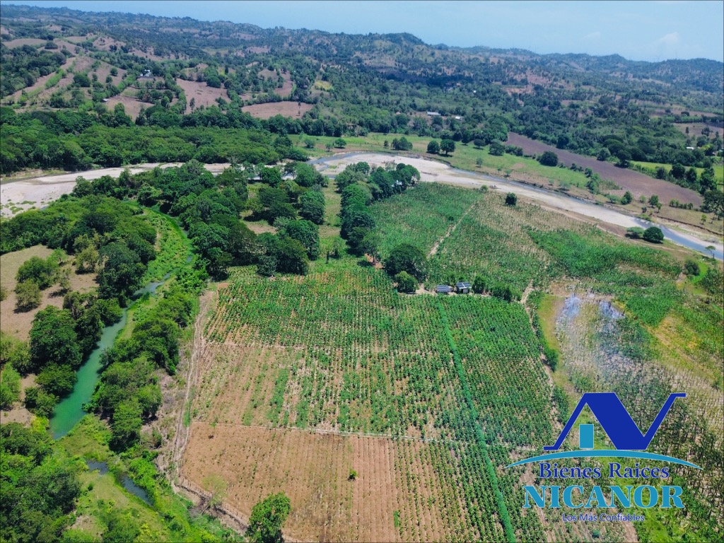 Finca Sembrada de platano en venta Foto 7319618-6.jpg