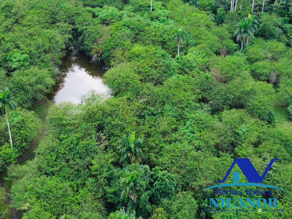 Finca de 2300 tareas en venta en imbert puerto plata  Foto 7319619-11.jpg