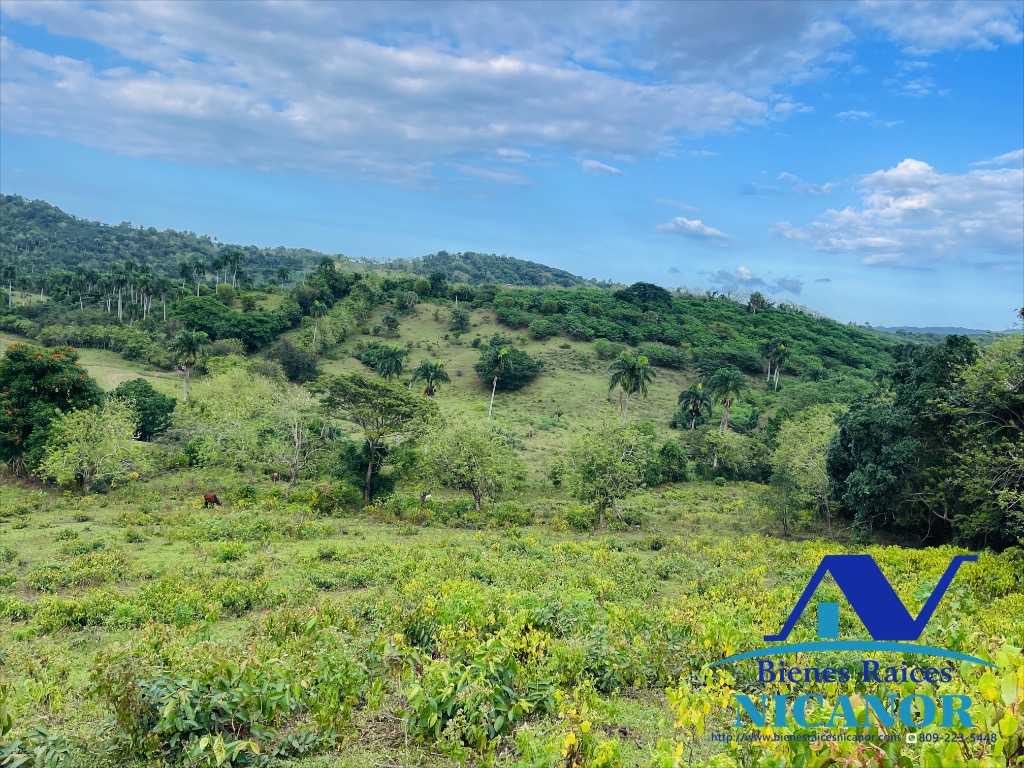 Finca de 2300 tareas en venta en imbert puerto plata  Foto 7319619-3.jpg