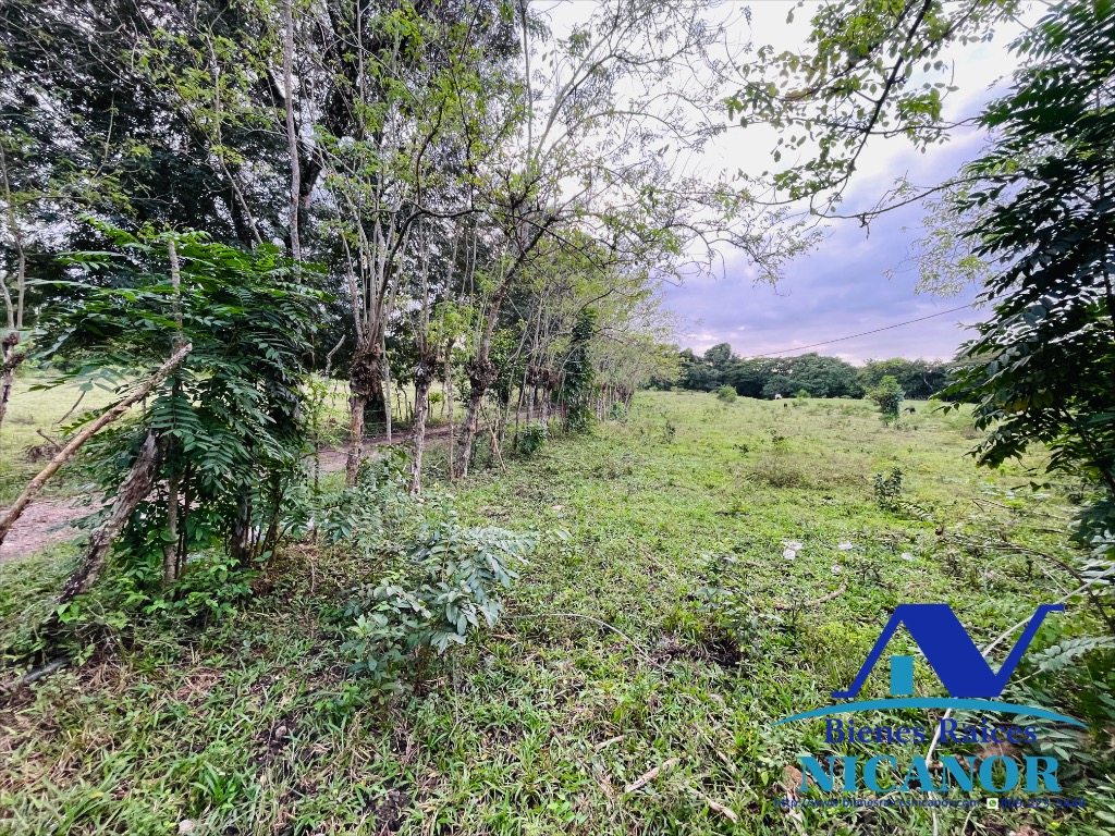 Finca de 2300 tareas en venta en imbert puerto plata  Foto 7319619-5.jpg