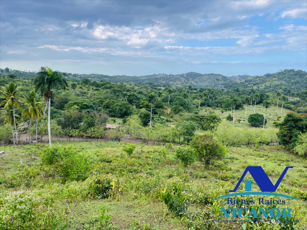 Finca de 2300 tareas en venta en imbert puerto plata  Foto 7319619-9.jpg