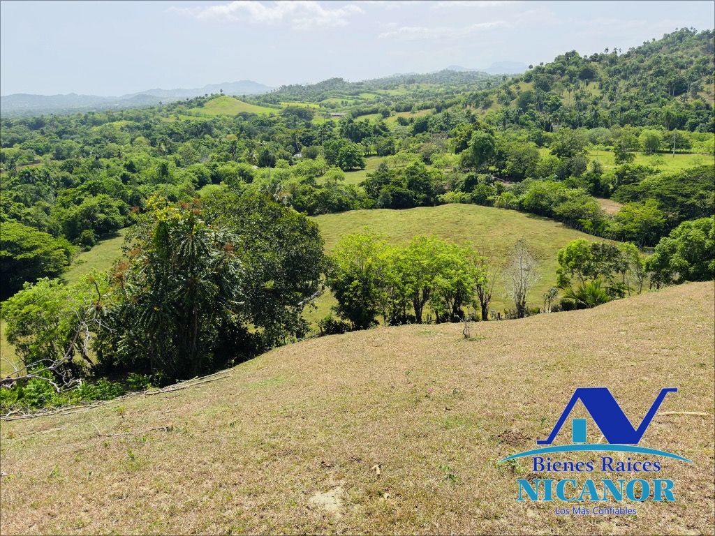 Finca de 825 taraes en venta  Foto 7319620-7.jpg