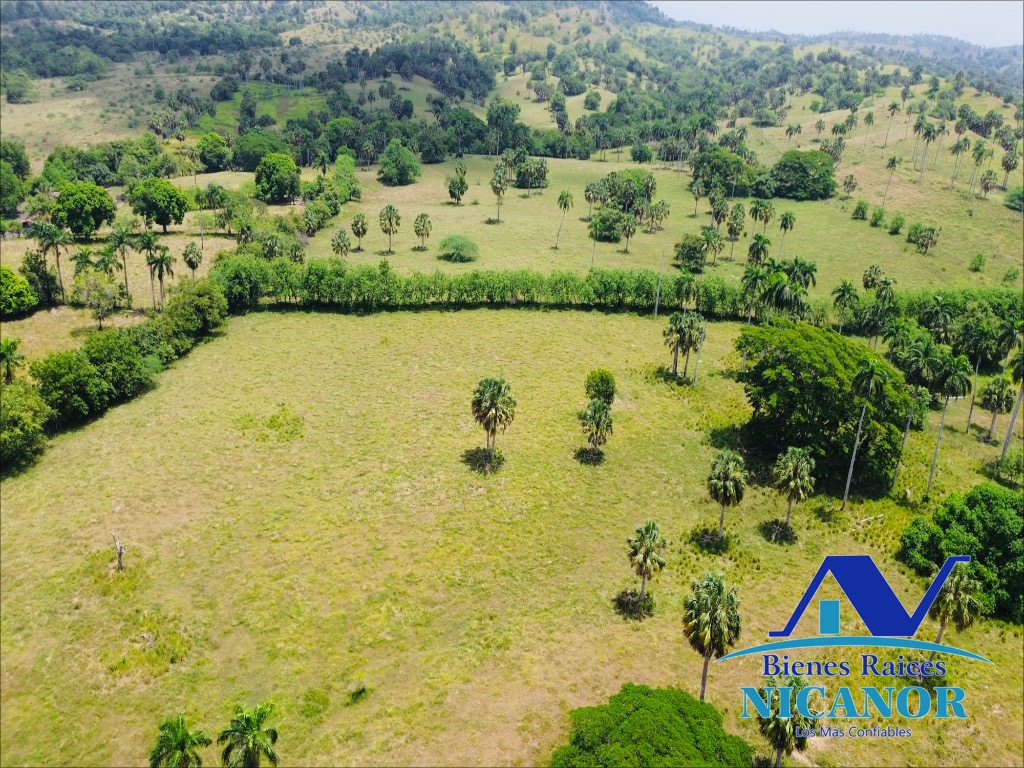 Finca de 1010 tareas en venta  Foto 7319626-7.jpg
