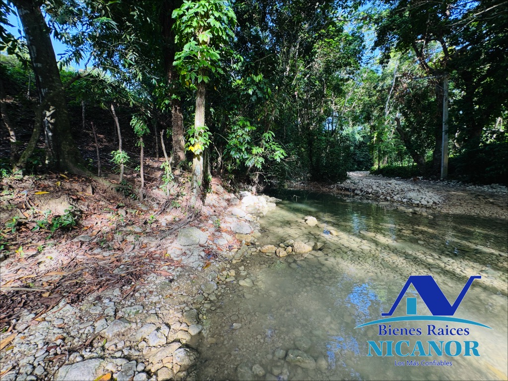 Finca de 278 tareas en venta en puerto plata Foto 7319628-15.jpg