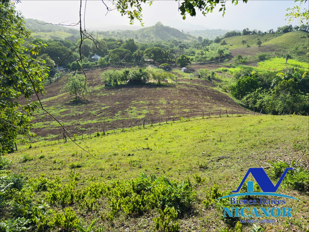 Finca de 278 tareas en venta en puerto plata Foto 7319628-7.jpg