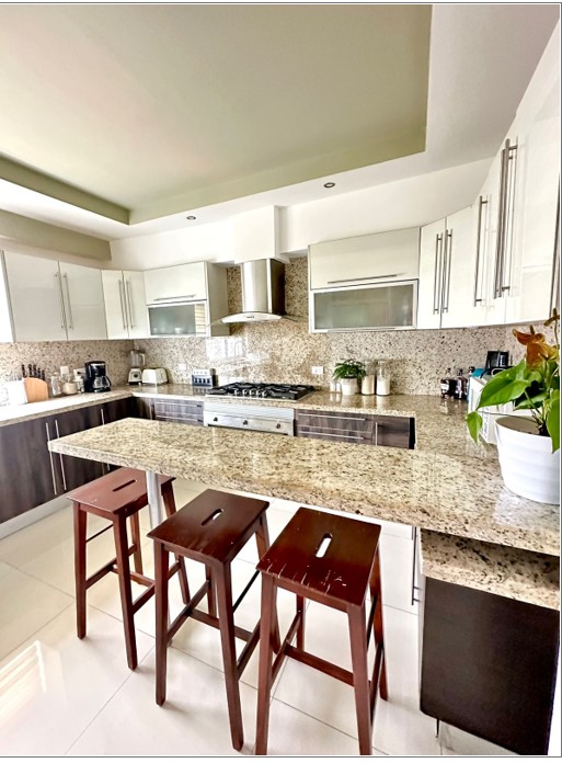 LUXURY 3-LEVEL PENTHOUSE FOR SALE AND RENT  ENSANCHE PARASO Foto 7320100-7.jpg