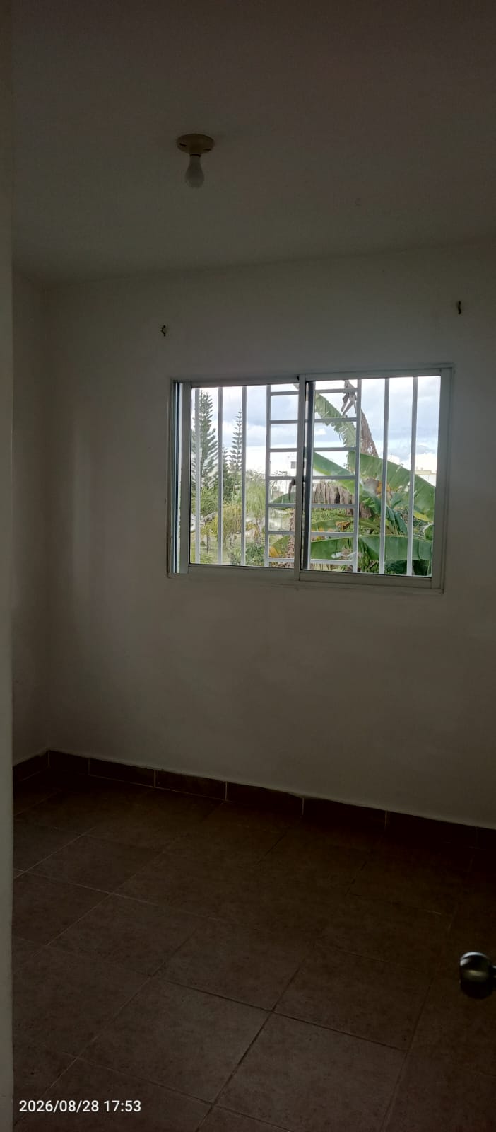 Alquiler de inmueble en la Ciudad Juan Bosch.  Foto 7320241-8.jpg