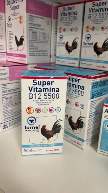 Vitamina B15-5500 Para grandes atletas Foto 7320744-2.jpg