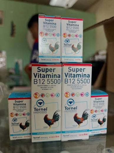 Vitamina B15-5500 Para grandes atletas Foto 7320744-3.jpg