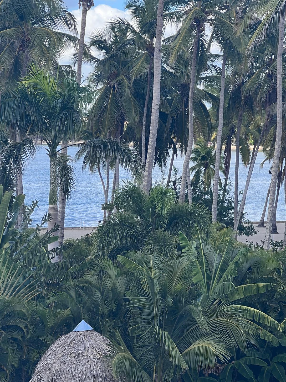 Vendo villa en playa nueva romana Foto 7321147-11.jpg
