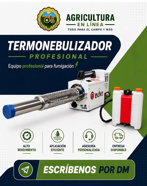 foguer termonebulizador Foto 7321859-1.jpg